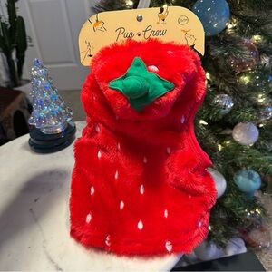 Pup Crew Halloween Dog Costume Strawberry